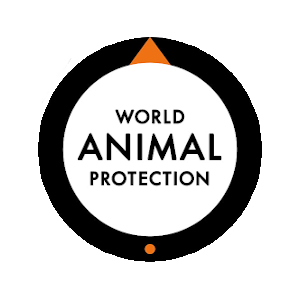 World Animal Protection